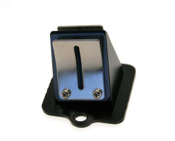 Carbon valve B1 Typhoon fiberRef: Bone00027A / 1020269