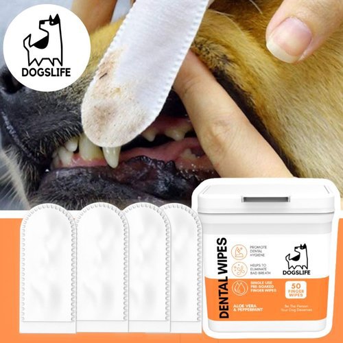 Dogslife - Dental Wipes - 50 pieces