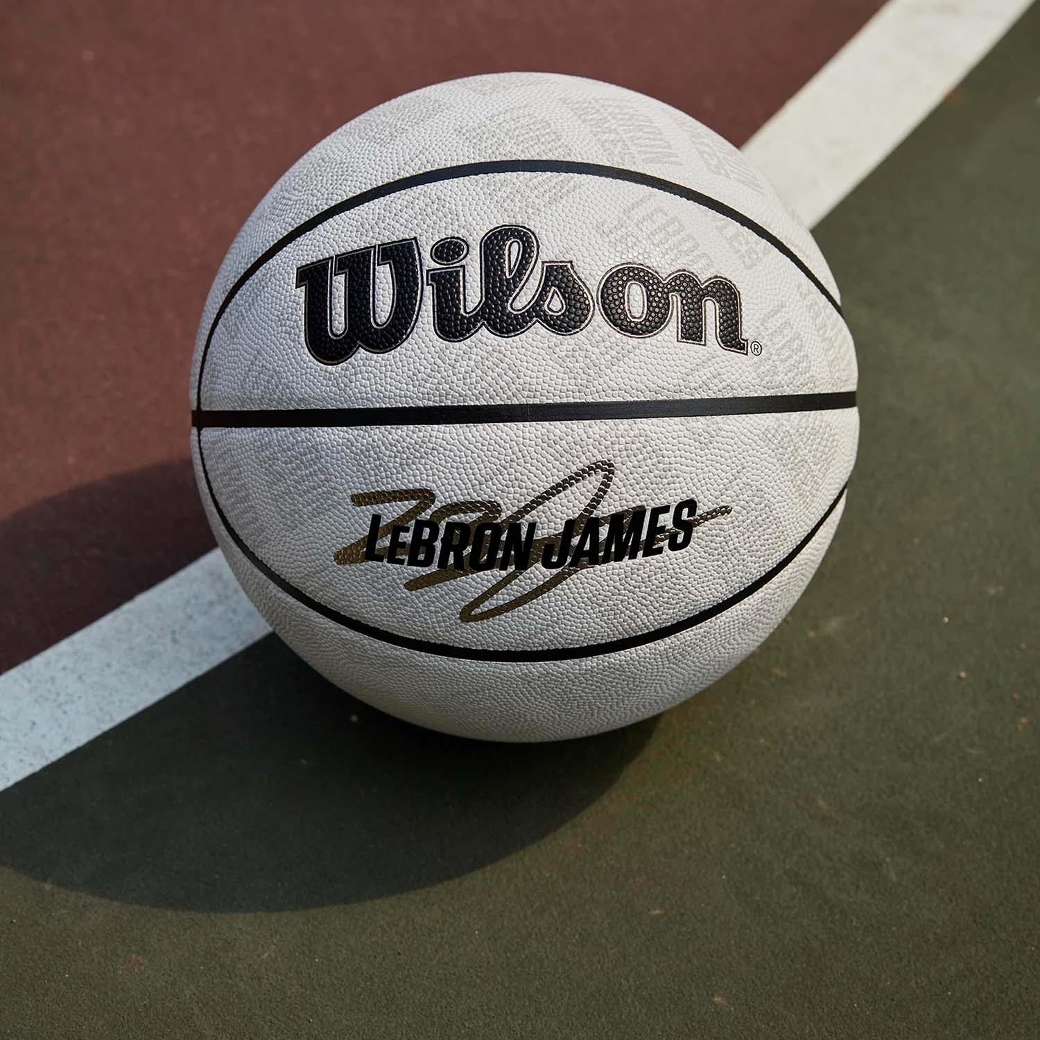 LeBron James UV Player Icon NBA Basketball (Size 7)