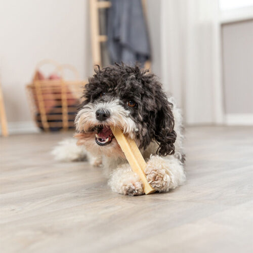 Trixie Chewy Cheese - XS