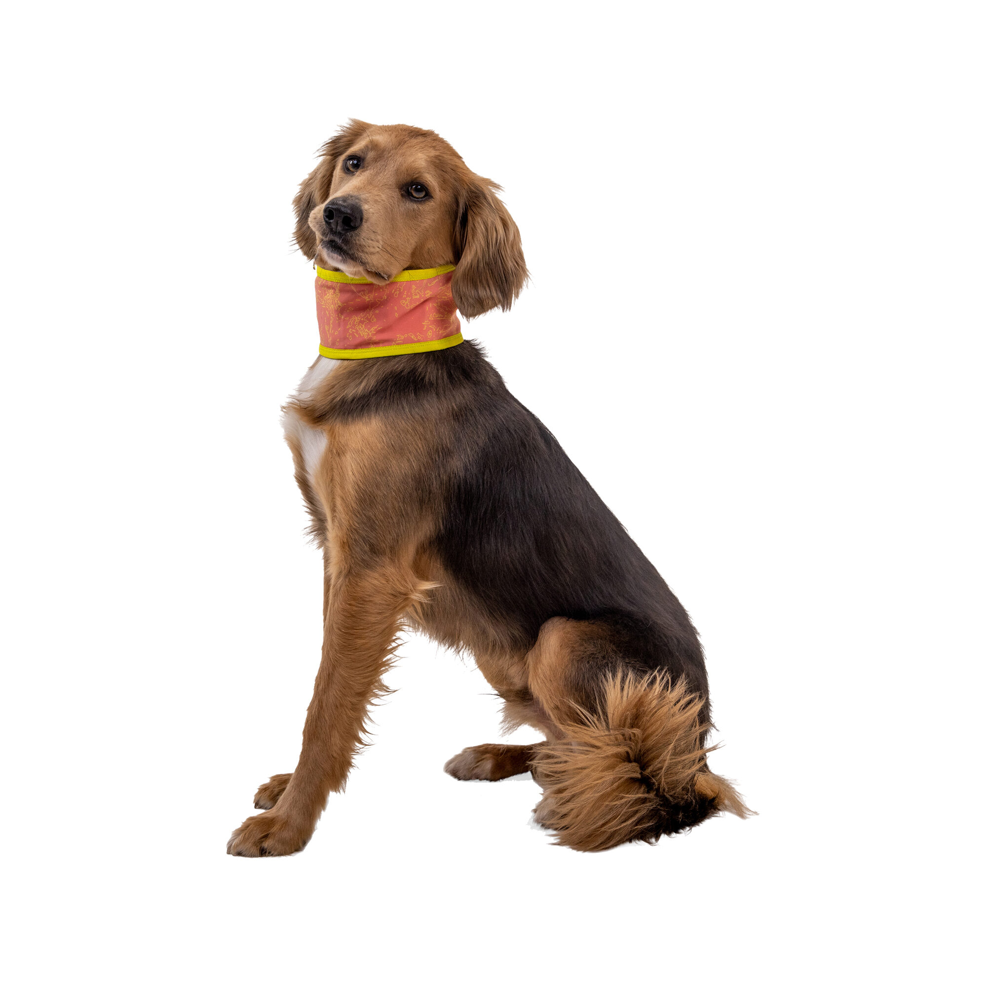 Ruffwear Swamp Cooler Neck Gaiter - Graphite Gray - L