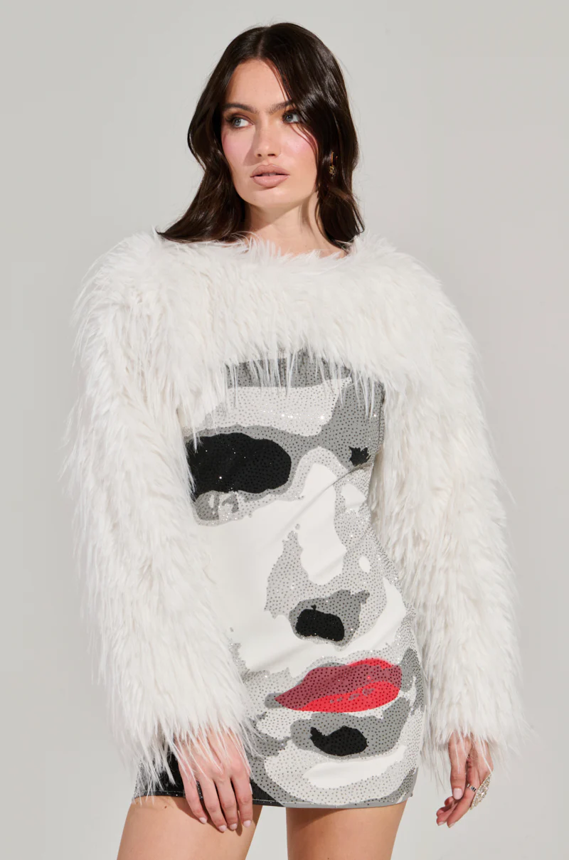 Up Close Sweater Knit Faux Fur Mini Dress