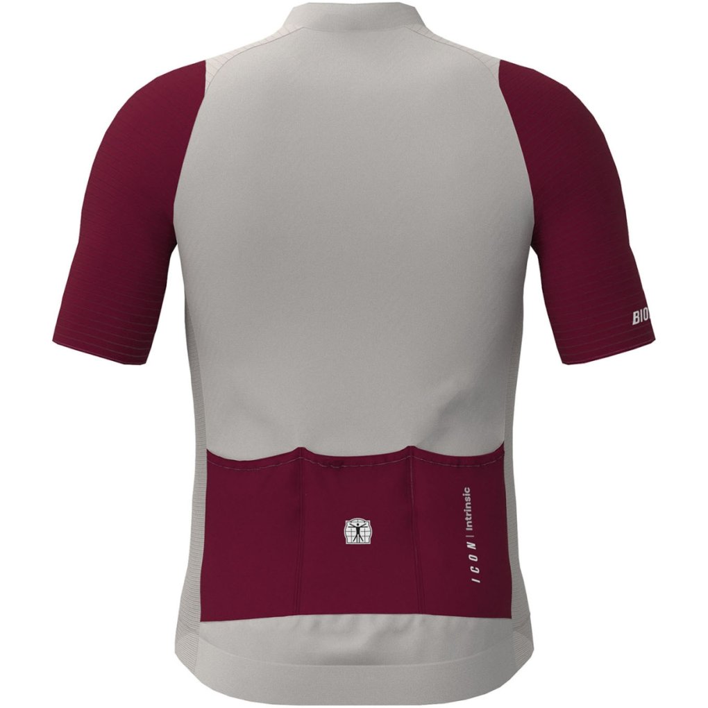 Bioracer Icon Jersey Kids - warm grey - bordeaux