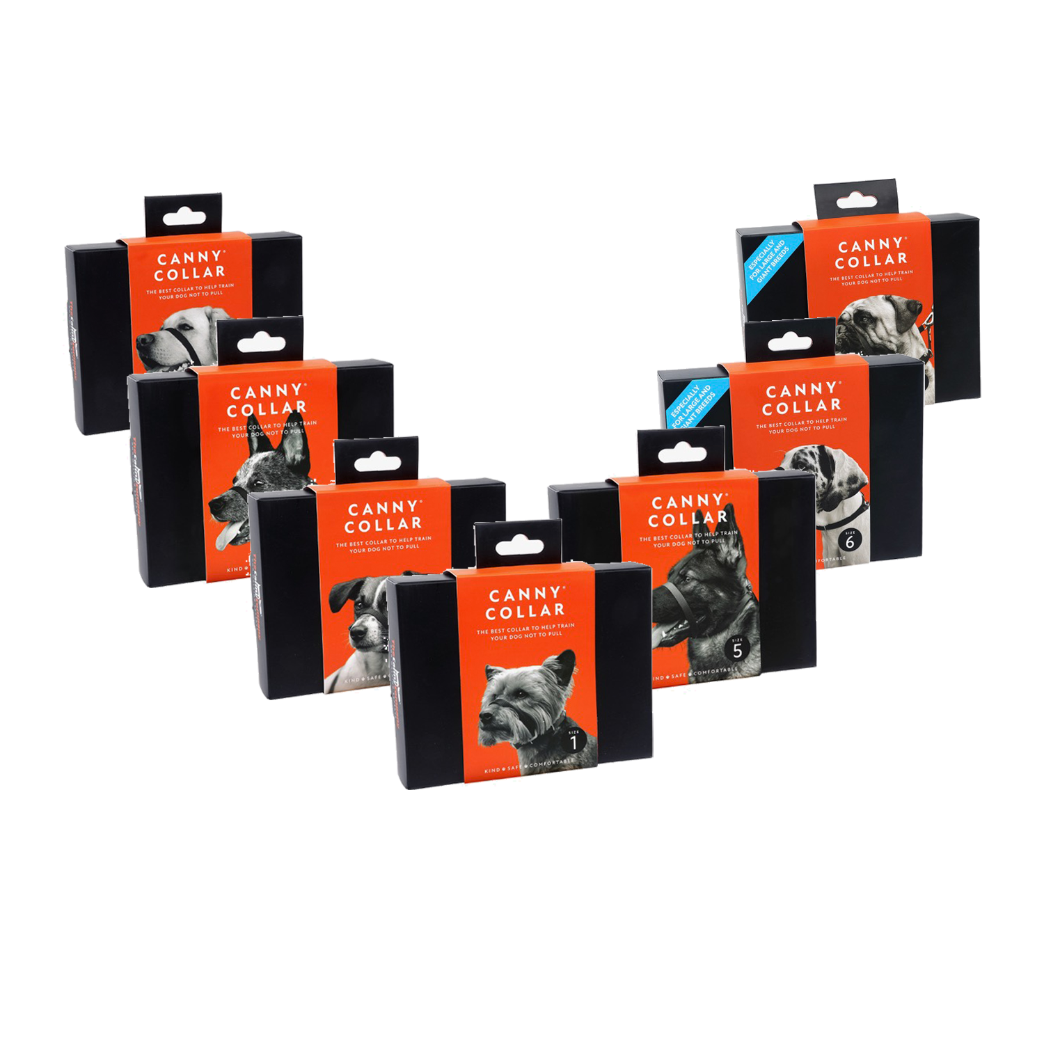 Canny Collar - Black - Number 1 - 23 - 28 cm