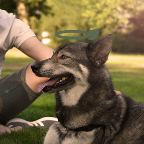 PoopyGo Bag Dispenser