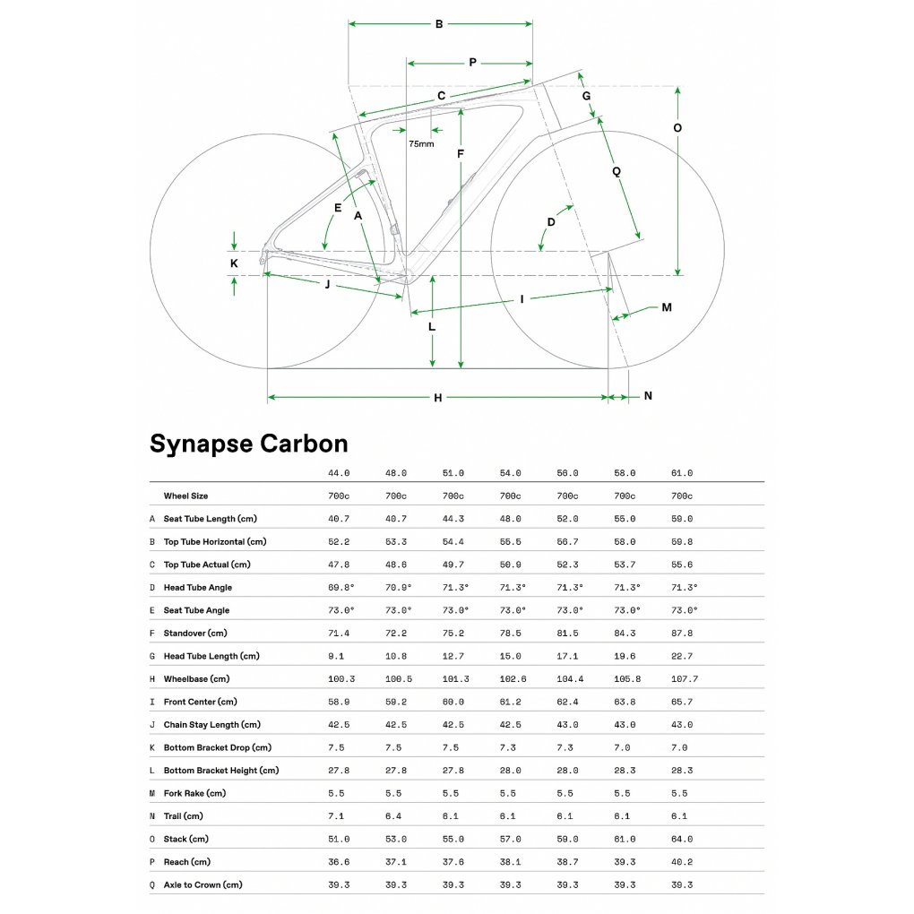 Cannondale SYNAPSE CARBON 4 - Roadbike - 2026 - chalk