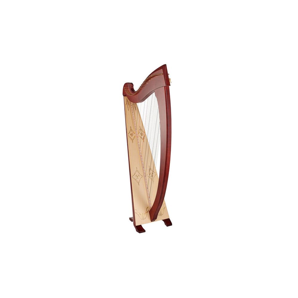 Salvi Una Deluxe Mahogany Silkgut – Thomann Ireland