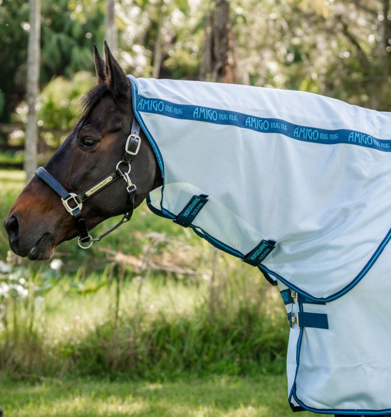 Amigo® Bug Rug XL Plus Fly Sheet