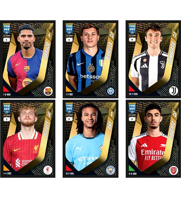 Panini FIFA 365 2025 Stickers - Hardcover Album