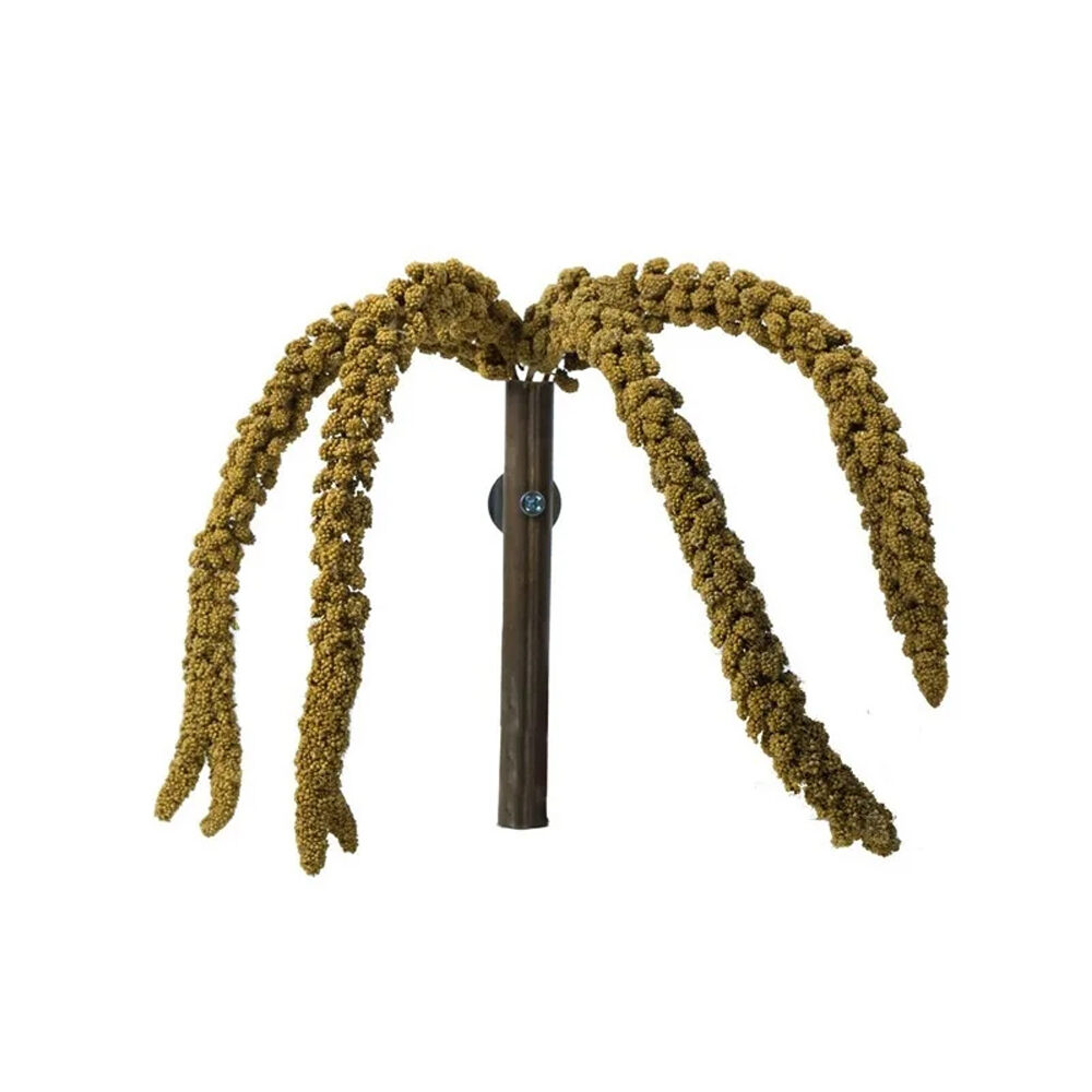 Back Zoo Nature French Millet Sprays - Red - 150 grams