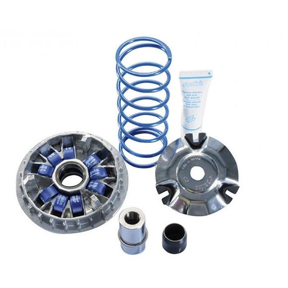 Variateur Polini Maxi SpeedRef : PN241696 / 1011891