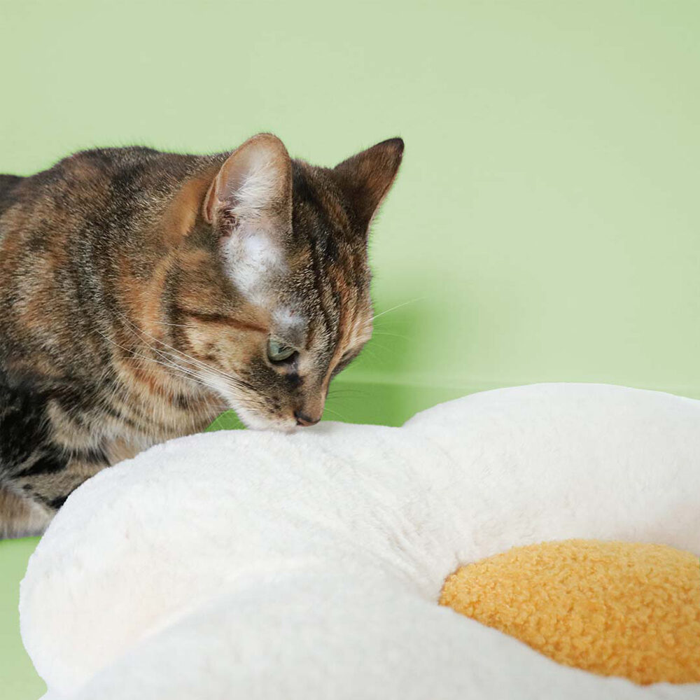 Coockoo Lazy Daisy Cushion