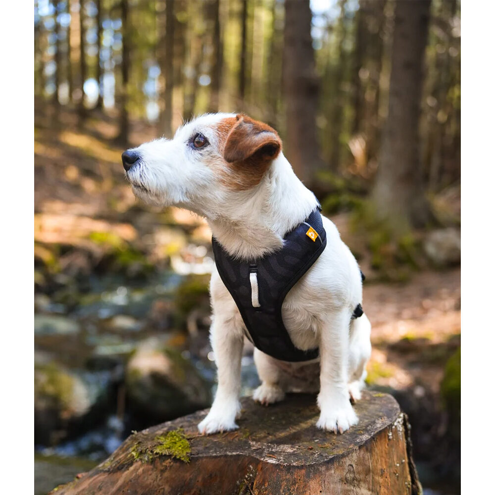 Woolly Wolf Roam Harness - Black Ripple - XS