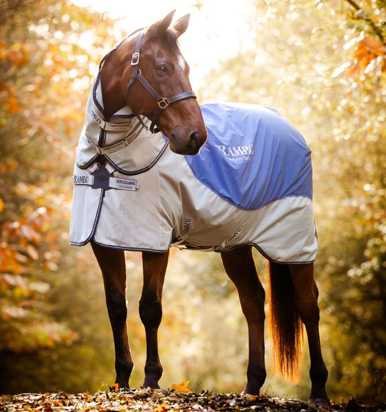 Rambo® Autumn Series Turnout (0g Outer with 100g Liner)