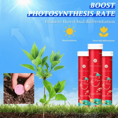 ✨This Week's Special Sale 50% OFF - General purpose slow-release organic fertilizer for plants