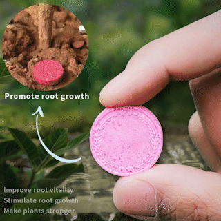 ✨This Week's Special Sale 50% OFF - General purpose slow-release organic fertilizer for plants
