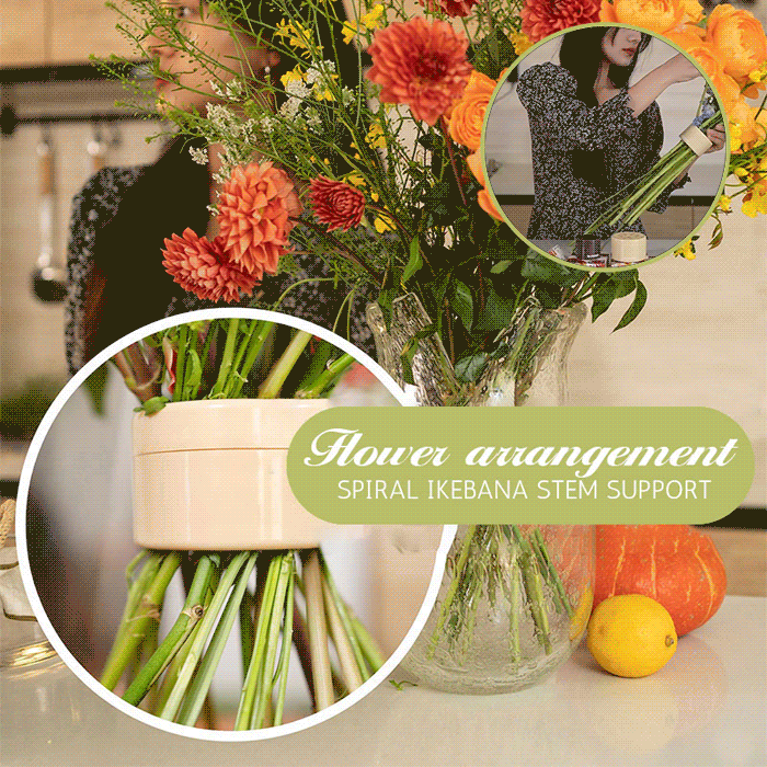💕LAST DAY BUY 1 GET 1 FREE - each only $6.99!!🎁Spiral Ikebana Stem Holder💐