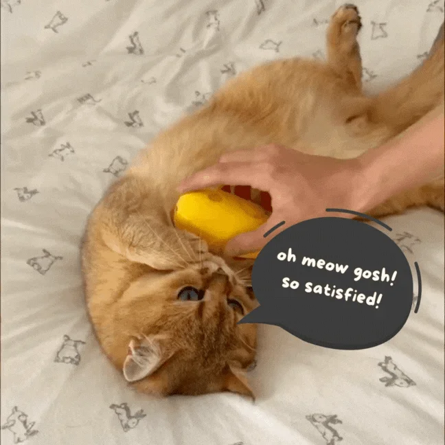 🔥Last Day Promotion - 49% OFF🎁CatCare Spa Brush🔥Buy 3 Get 10% Off & Free Shipping