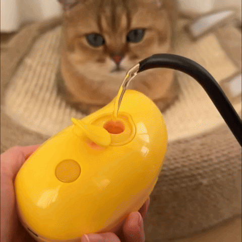 🔥Last Day Promotion - 49% OFF🎁CatCare Spa Brush🔥Buy 3 Get 10% Off & Free Shipping