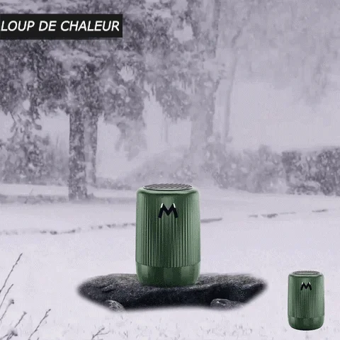 ❄Soldes d'hiver 49 % de réduction 🎁 Instrument de dégivrage moléculaire pour micro-ondes pour véhicule