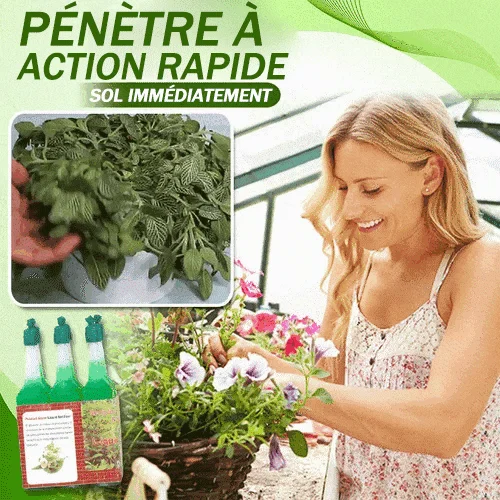 🔥ACHETEZ-EN 5, OBTENEZ-EN 5 GRATUITEMENT🍀Engrais liquide hydroponique magique🌱