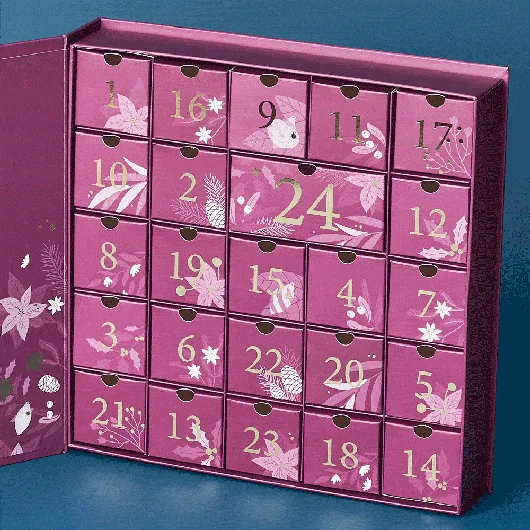 🔥Dernières 4 heures 49% de réduction🧩Calendrier de 24 jours de puzzles de Noël