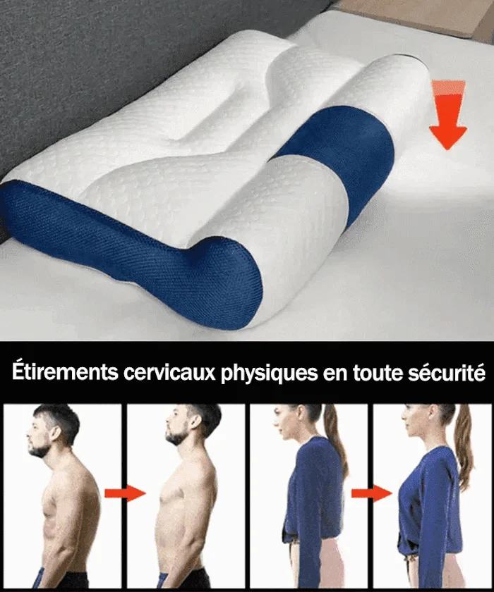 🔥49% de réduction🔥Oreiller en duvet d'oie confortable pour un soutien cervical améliorant le sommeil