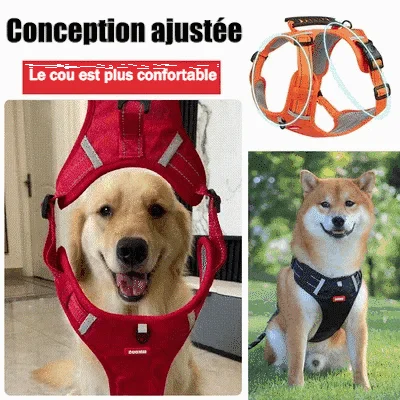 🔥Achetez-en 2, 15% de réduction🔥🐕Harnais pour chien sans traction pour animaux de compagnie