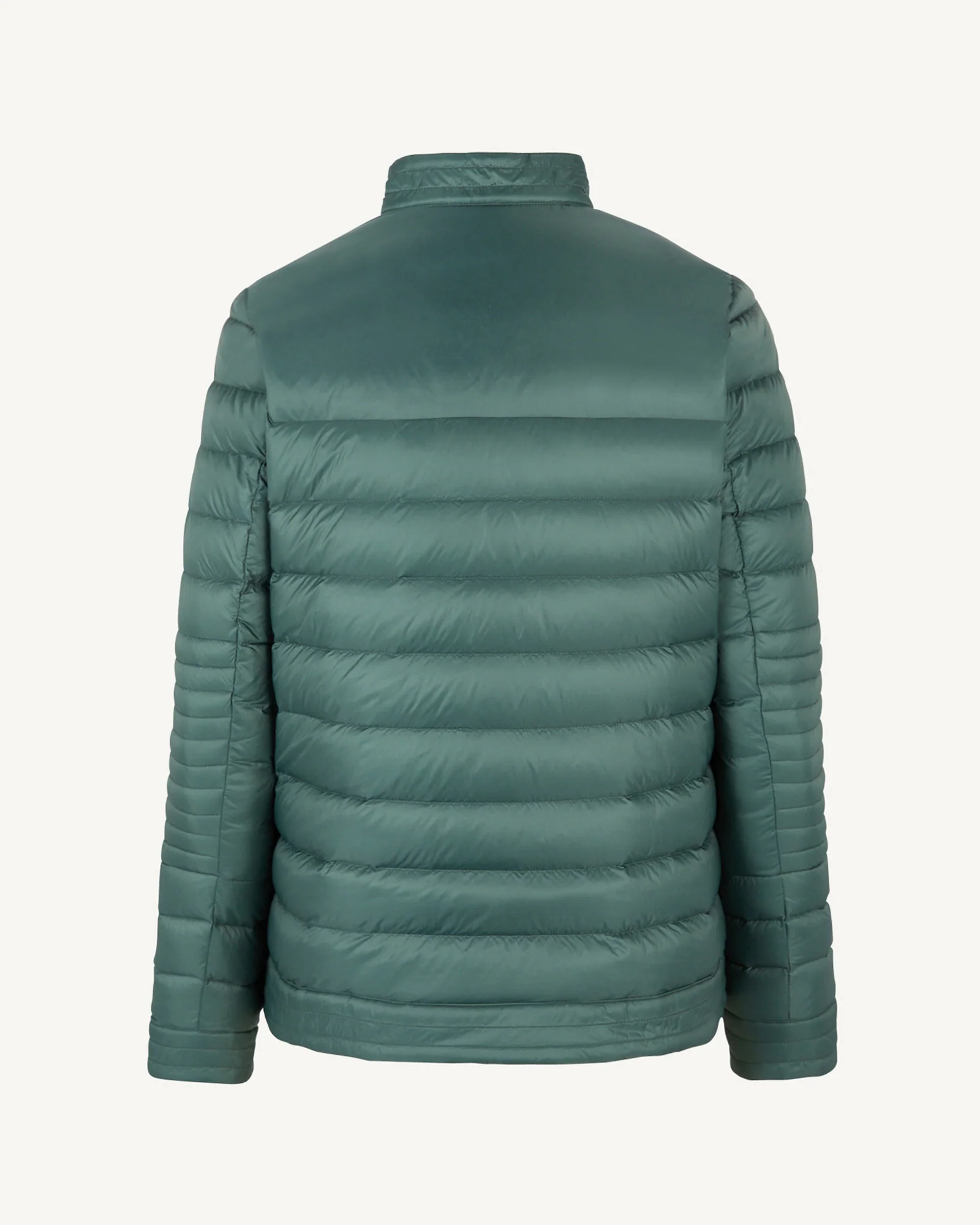 Down jacket biker cut Celadon green David