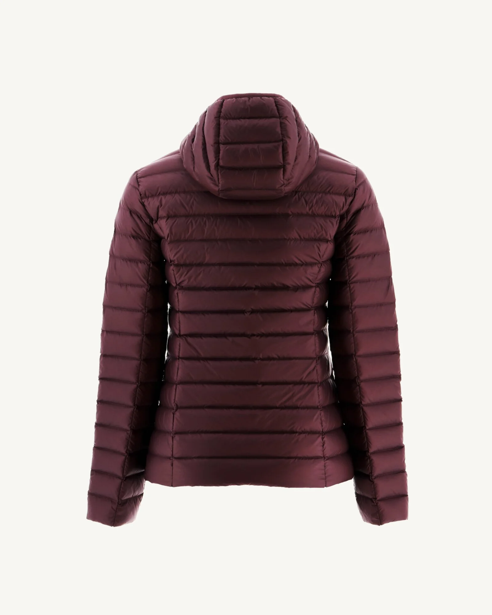 Down jacket light Celadon green Cloe hoodie