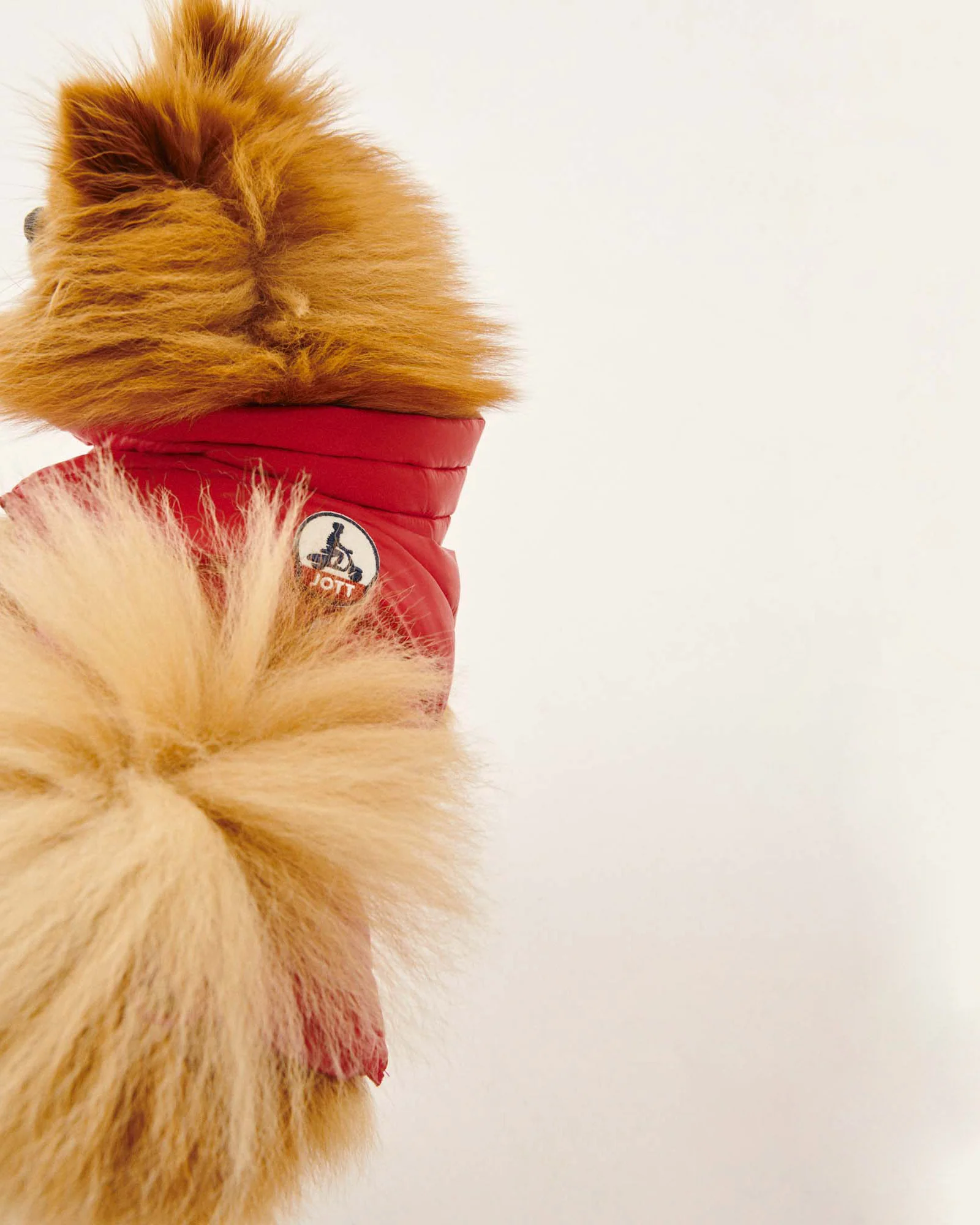 Down jacket for dogs Caramel Woop