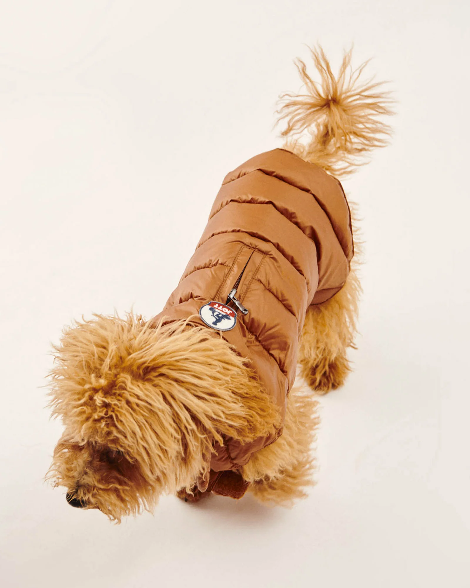 Down jacket for dogs Caramel Woop