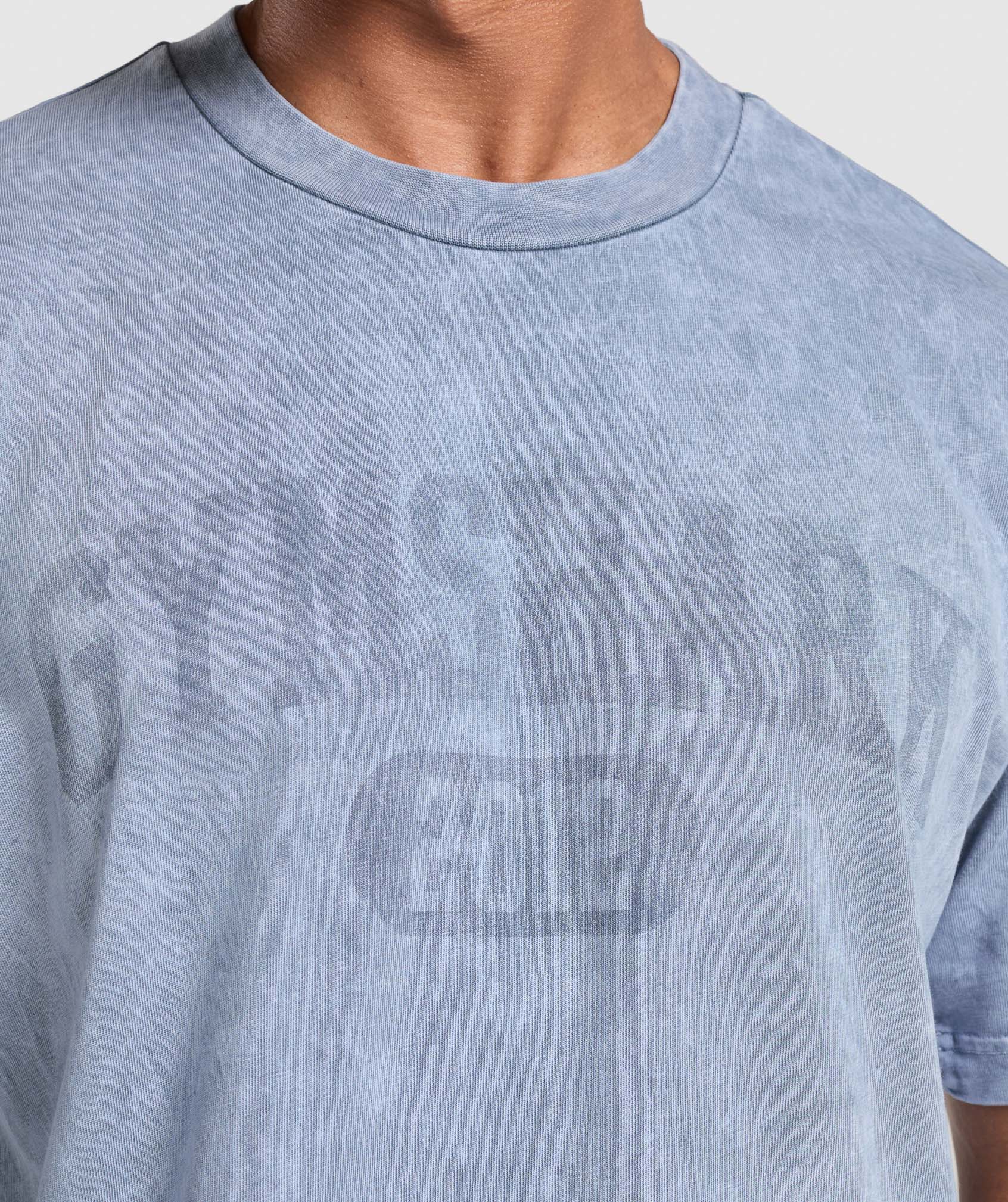 Collegiate Shadow Washed T-Shirt