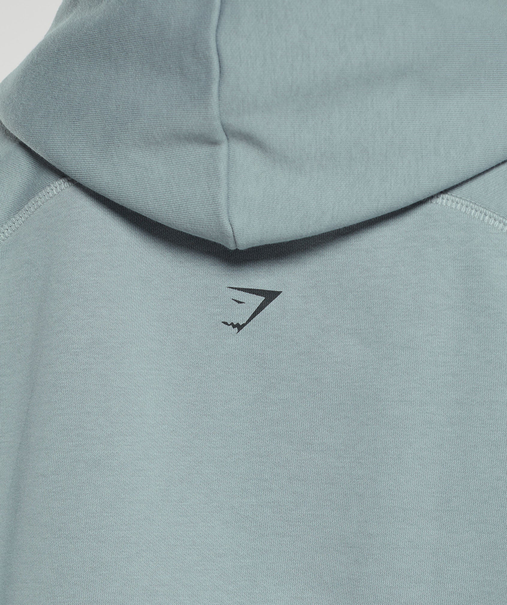 Care Label Graphic Brushed Hoodie