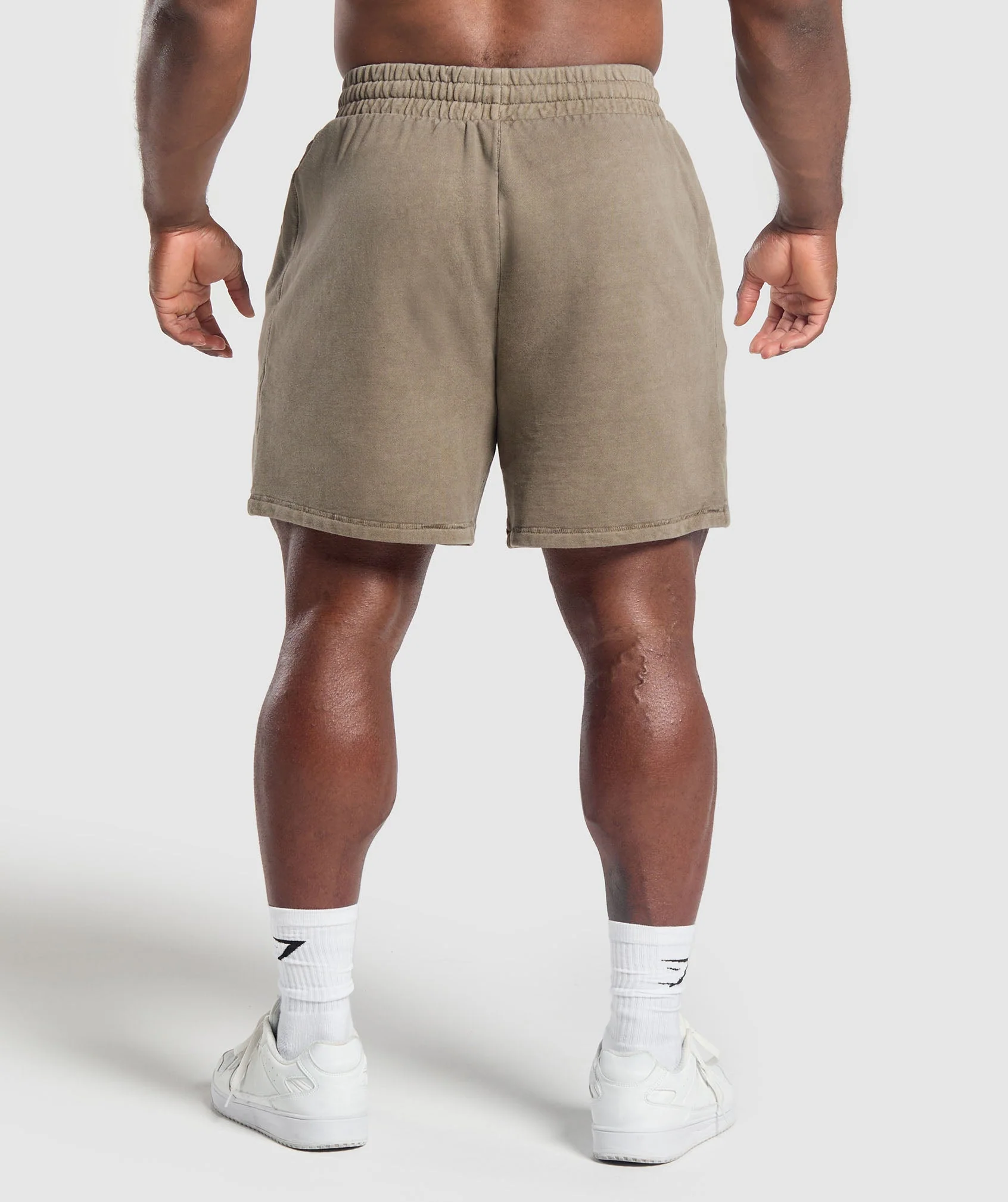 Premium Legacy Shorts