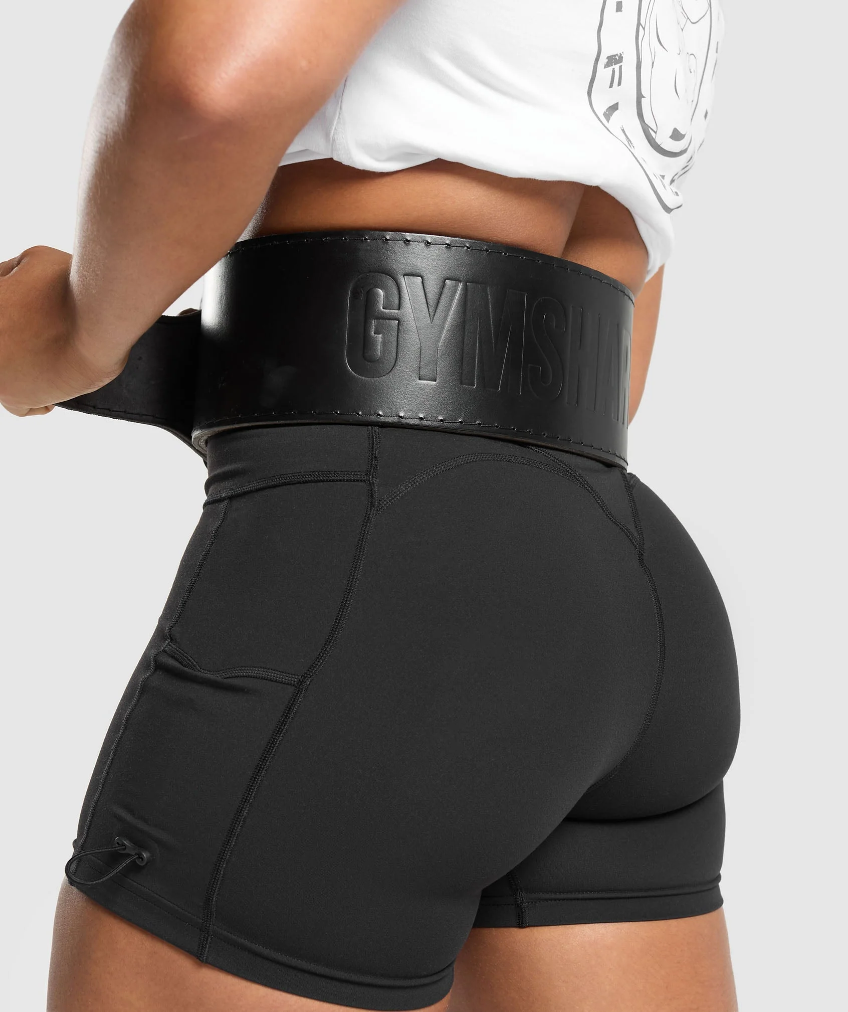 Double Prong Lifting Belt