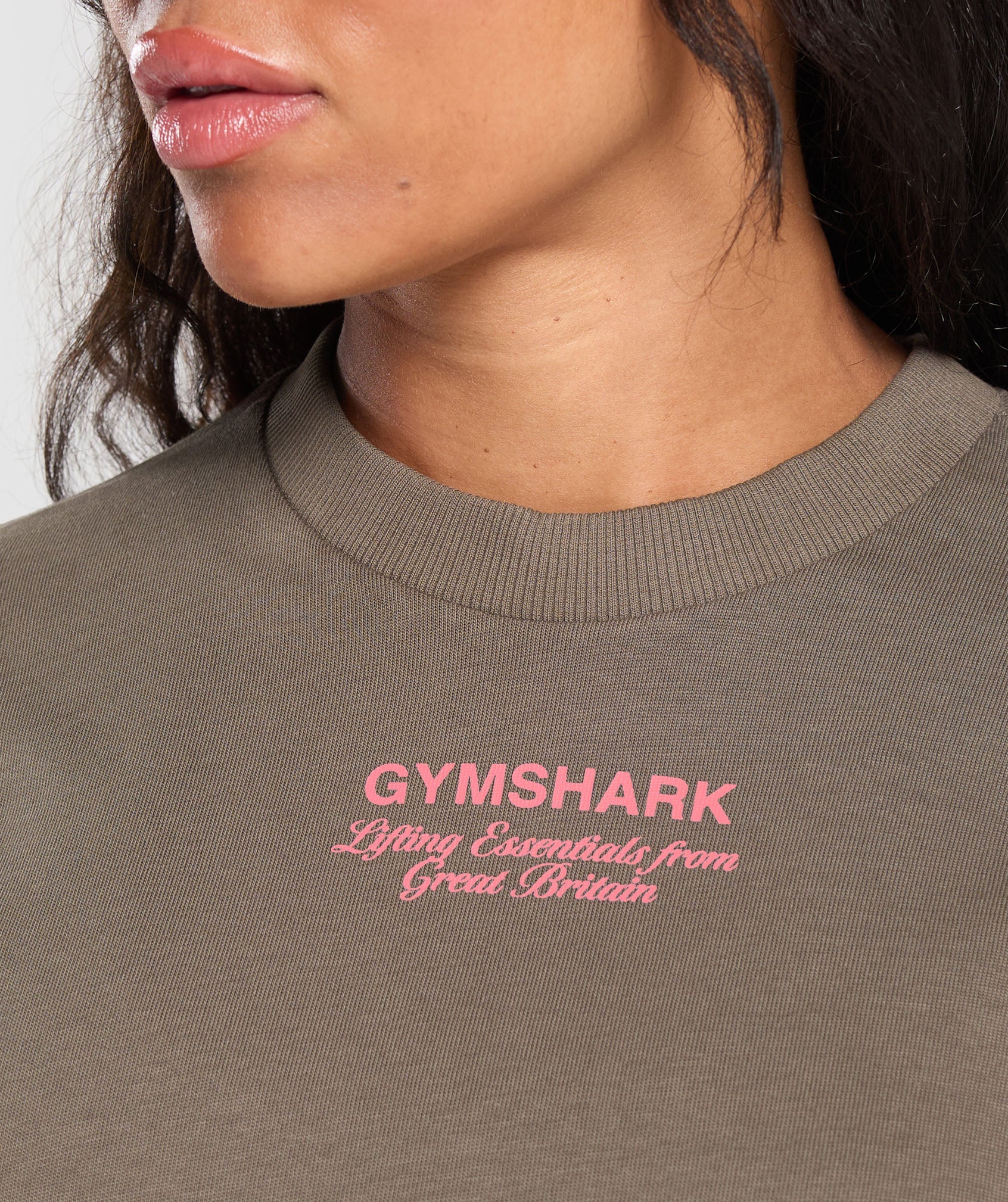 British Iron Heavyweight T-Shirt- Ice Grey