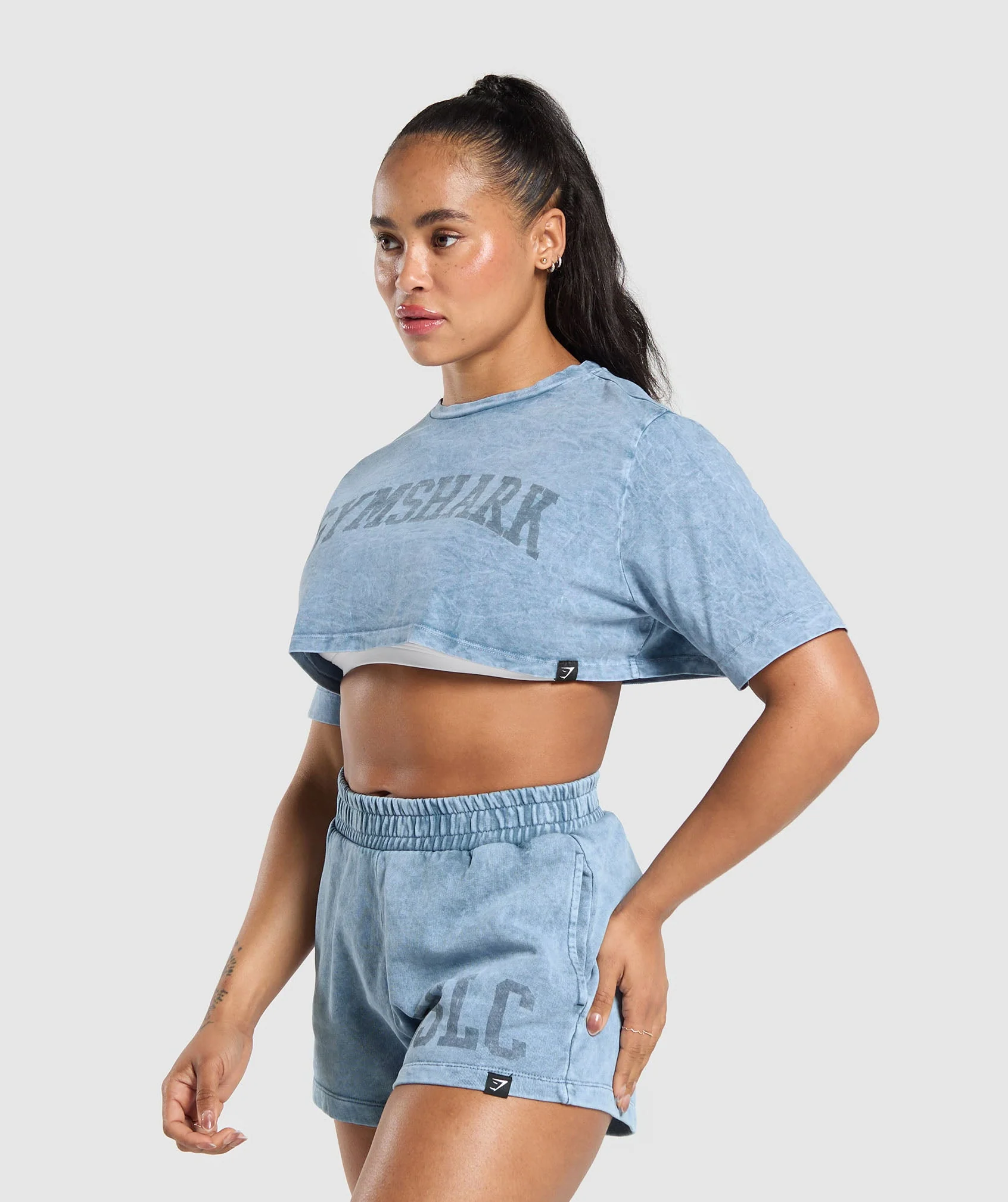 Collegiate Shadow Washed Crop Top