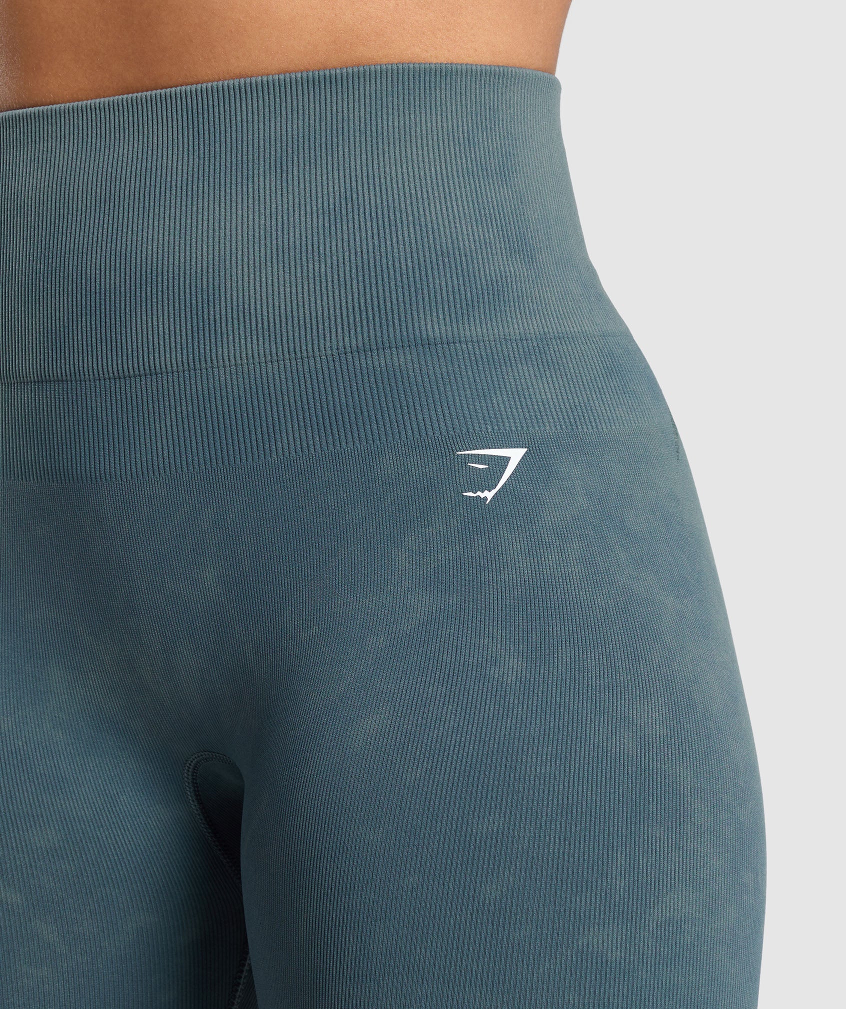 Gains Seamless Leggings