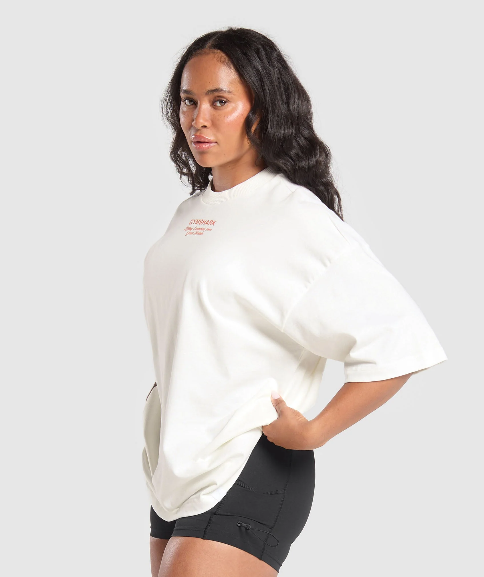 British Iron Heavyweight T-Shirt- Ice Grey