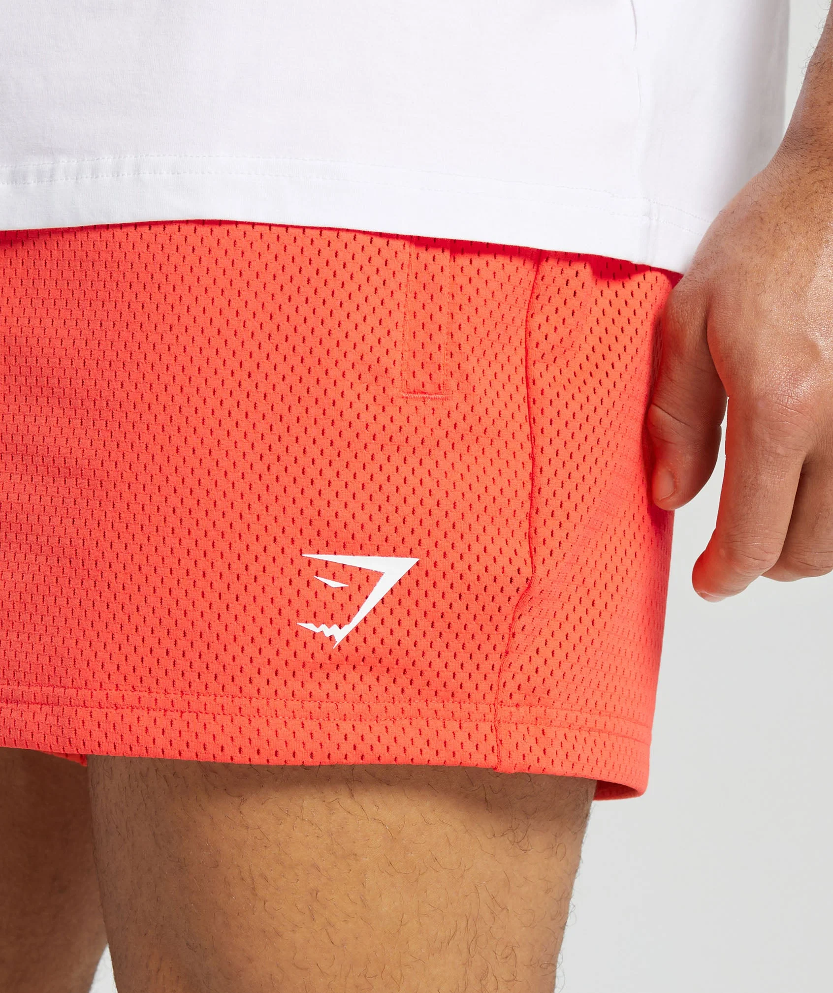Mesh 5" Shorts