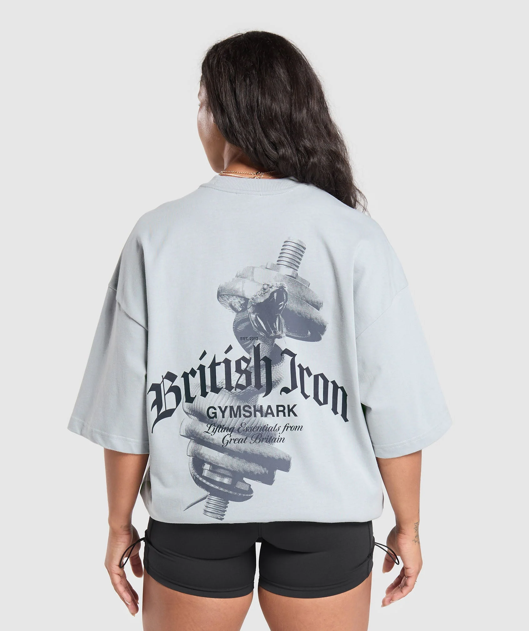 British Iron Heavyweight T-Shirt- Ice Grey