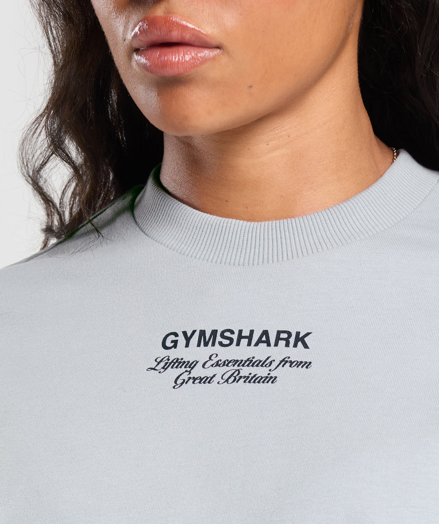 British Iron Heavyweight T-Shirt- Ice Grey