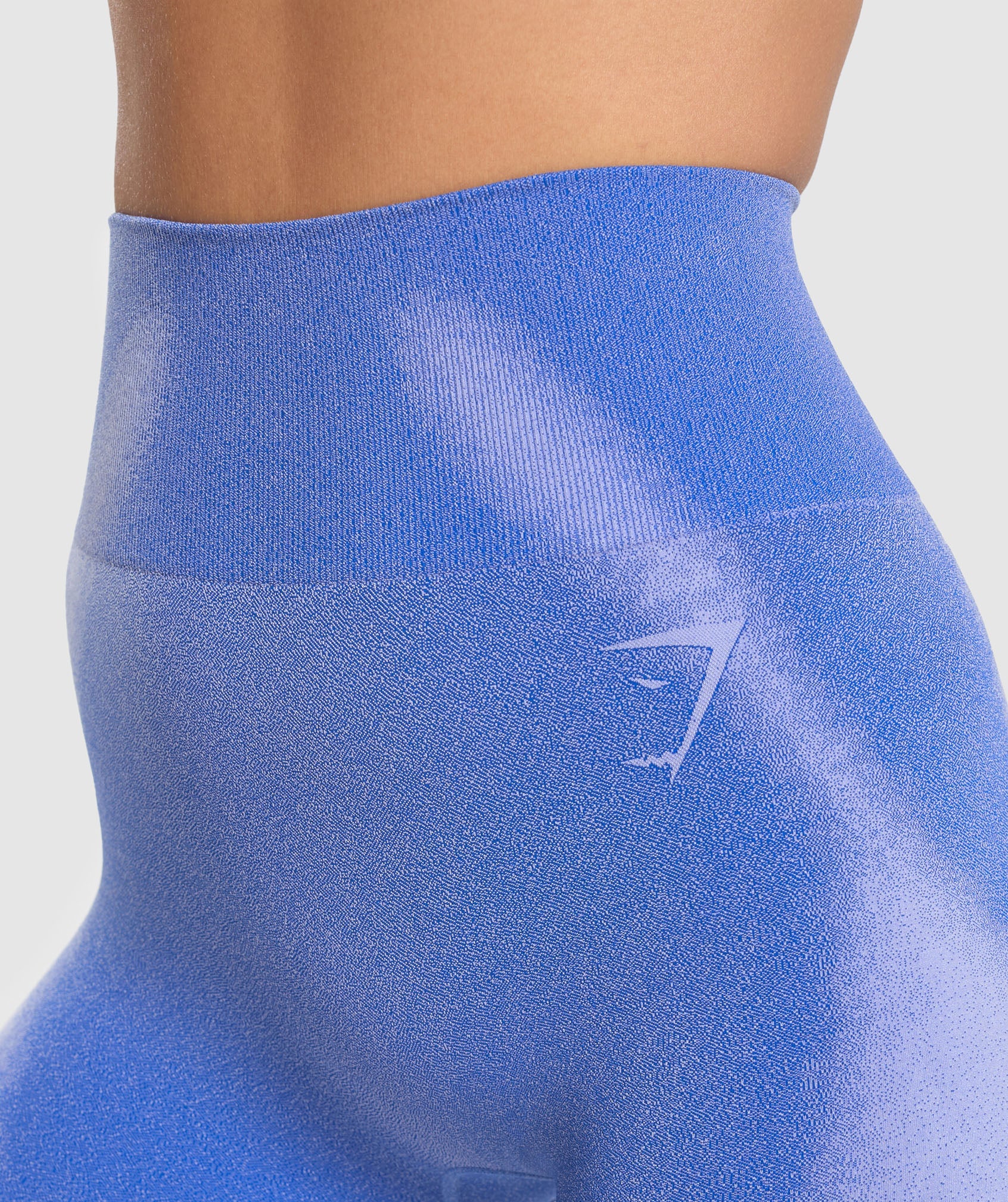 Blur Seamless Leggings