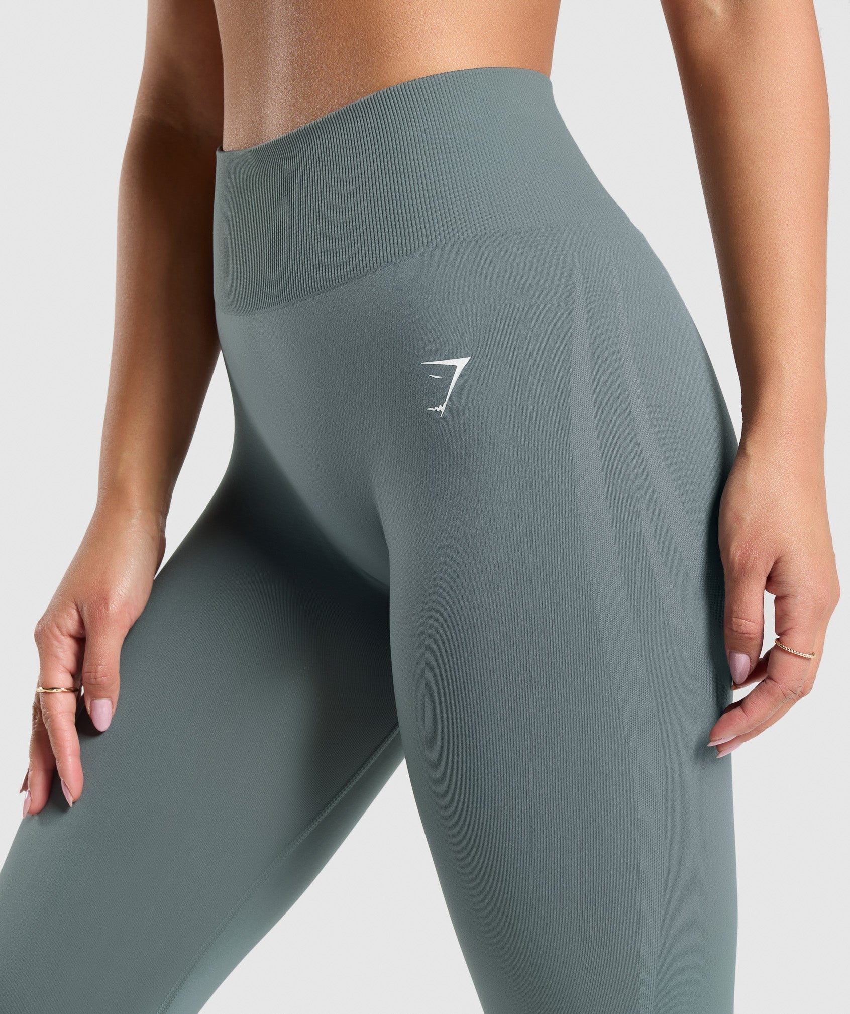 Everyday Seamless Leggings