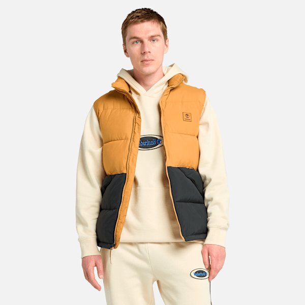 Synthetic Insulated Puffer Vest