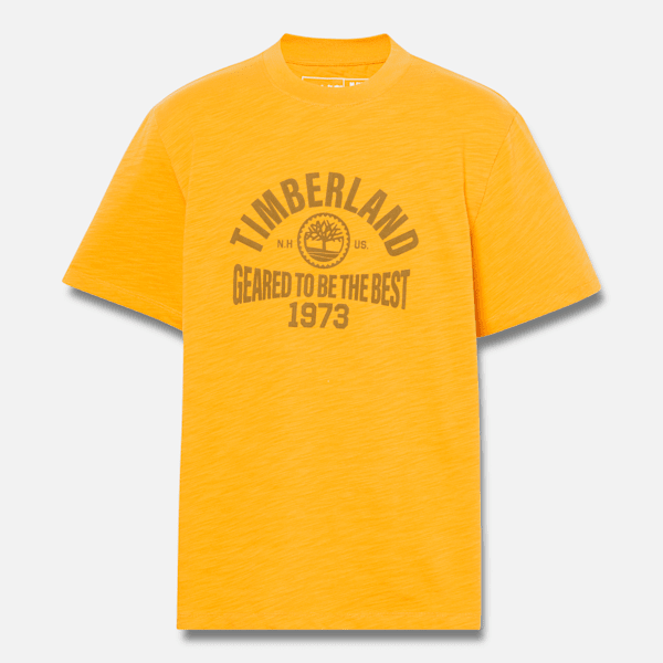 Men's Seasonal Logo Graphic Short Sleeve T-Shirt