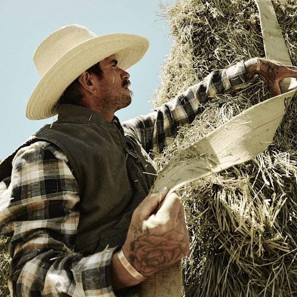 Men's Timberland PRO? Woodfort Lightweight Flannel Flex Shirt