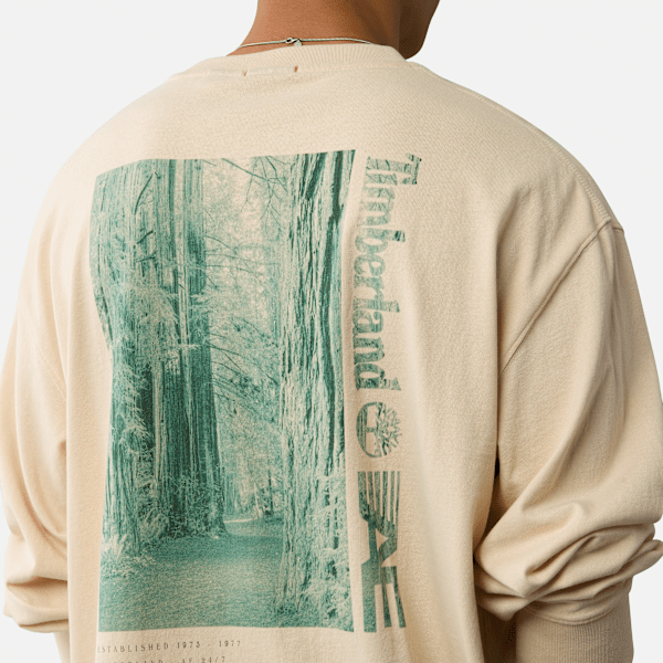 Timberland x AE Long Sleeve Forest Graphic T-Shirt