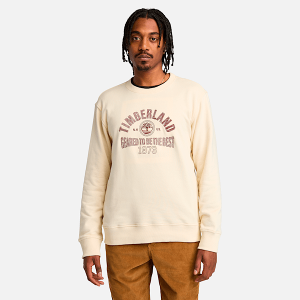 Men's Seasonal Logo Graphic Crew Neck Shirt